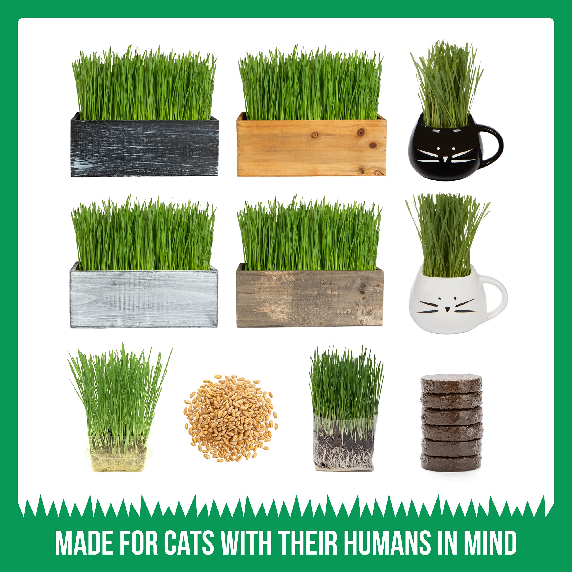 TCL White Ceramic Cat Mug with Cat Grass Growing Kit & Refill - Perfect for Pet Lovers, Office Desk Decor, and Indoor Gardening Gifts