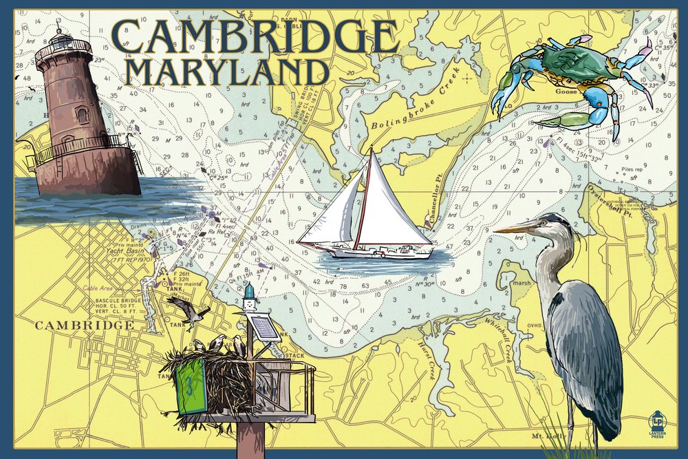 Lantern Press Cambridge Maryland Nautical Chart Wall Art - 16x24 Wrapped Canvas Print for Coastal & Beach House Decor - Perfect for Living Room, Office or Nautical Themed Interior Design