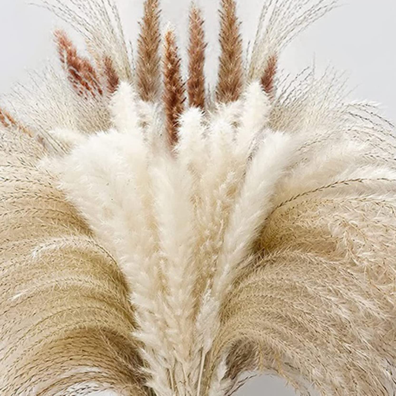 65 Pcs Natural Dried Pampas Grass Bouquet - Boho Wedding Decor, Home Vase Filler, Table Centerpiece for Kitchen, Yard & Indoor Boho Decorations | Perfect for Wedding, Party & Home Styling