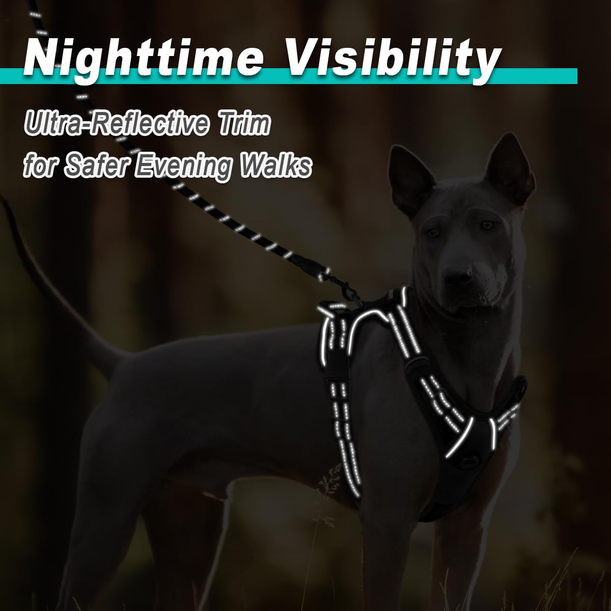 BARKBAY No Pull Pet Harness - Adjustable Reflective Dog Vest for Small, Medium & Large Dogs - 3M Reflective Oxford Material for Safety - Perfect for Walking, Hiking & Outdoor Adventures (XL)
