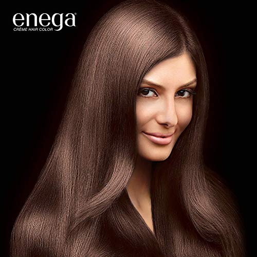 Chocolate Brown