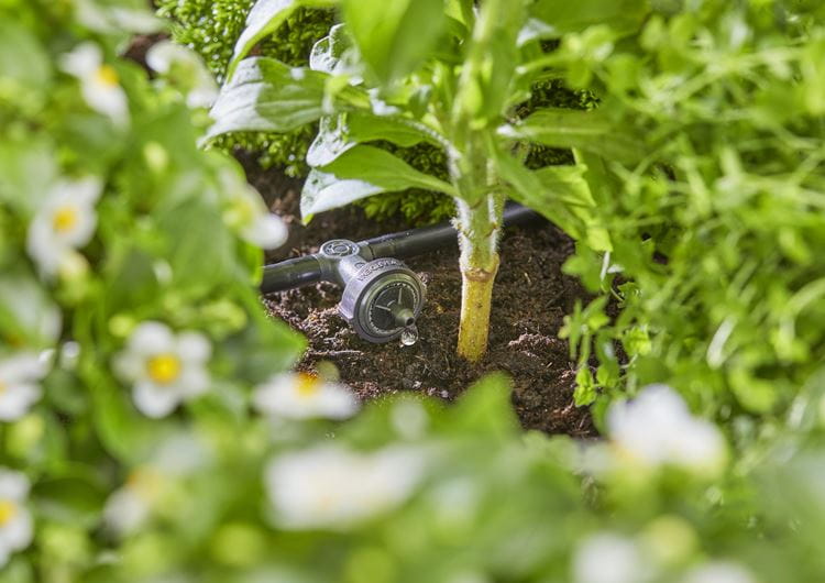 Gardena Start Set for Raised Beds - 35 Plant Starter Kit | Perfect for Home Gardening, Vegetable Patches & Flower Beds