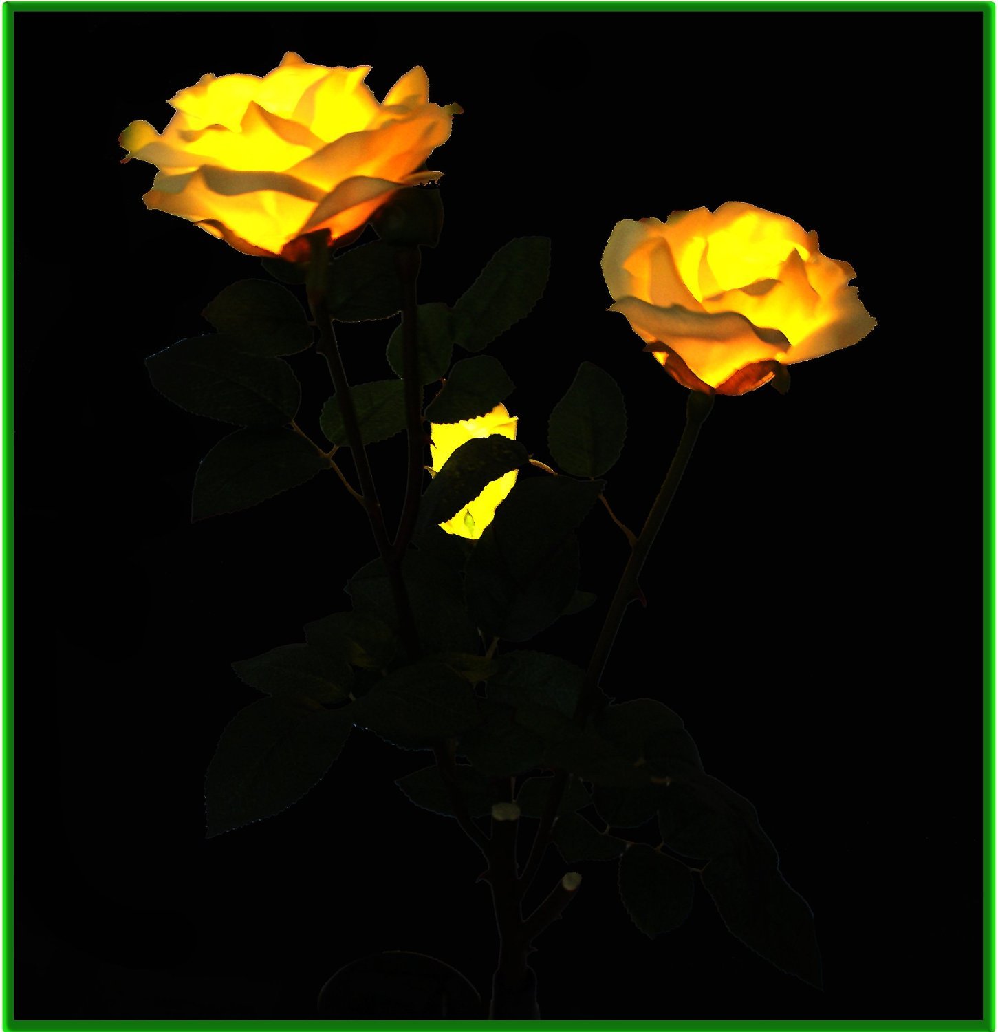 Solar Powered Yellow Rose Flower Lights - Outdoor Garden LED Landscape Decorative Lighting for Patio, Yard, Pathway | Weatherproof & Energy Efficient | Perfect Gift for Mother's Day, Valentine's Day, Anniversary