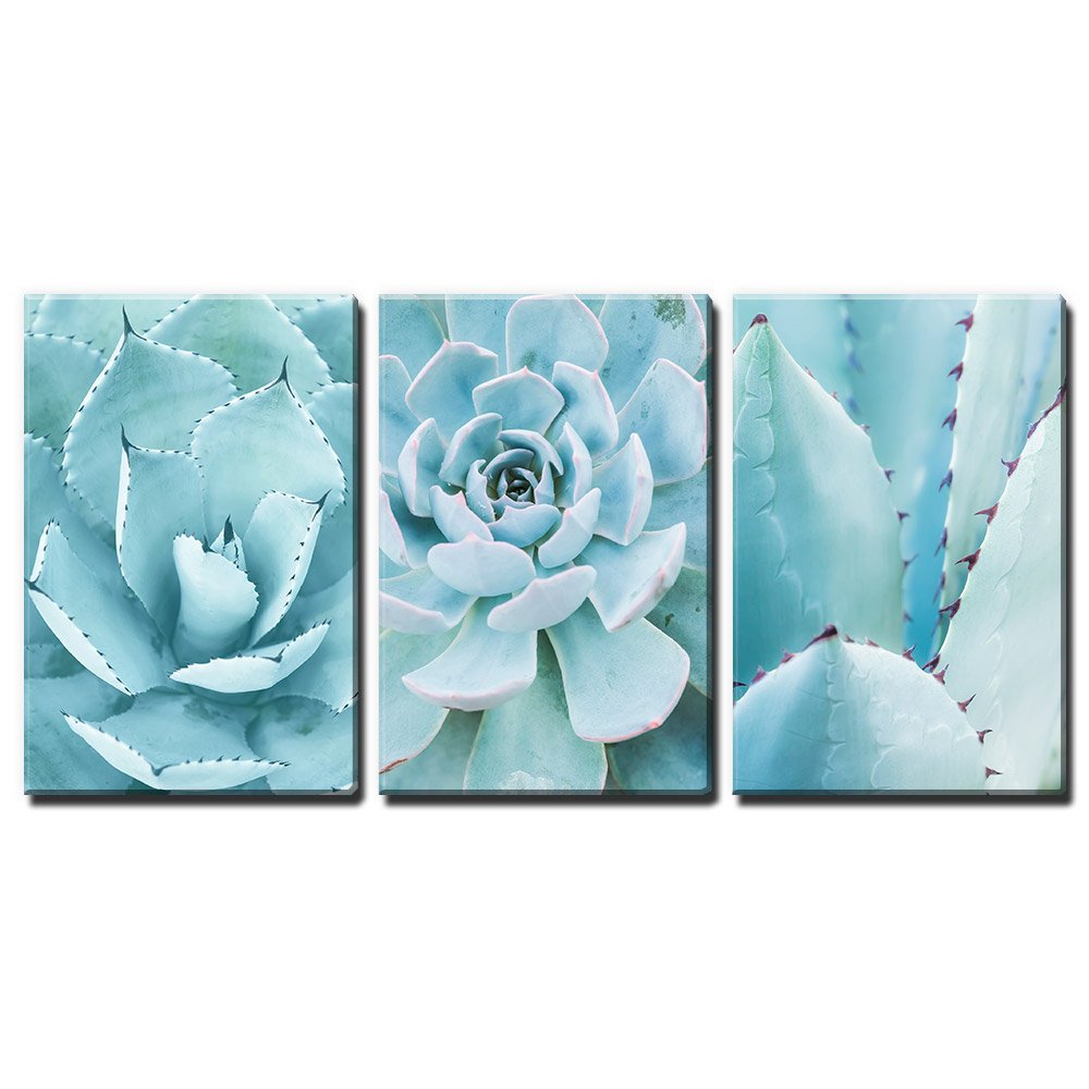 Blue Succulent Plants 3-Panel Canvas Wall Art - 16x24 Inch Giclee Print Modern Home Decor - Ready to Hang Gallery Wrapped Triptych - Perfect for Living Room, Bedroom & Office Decor
