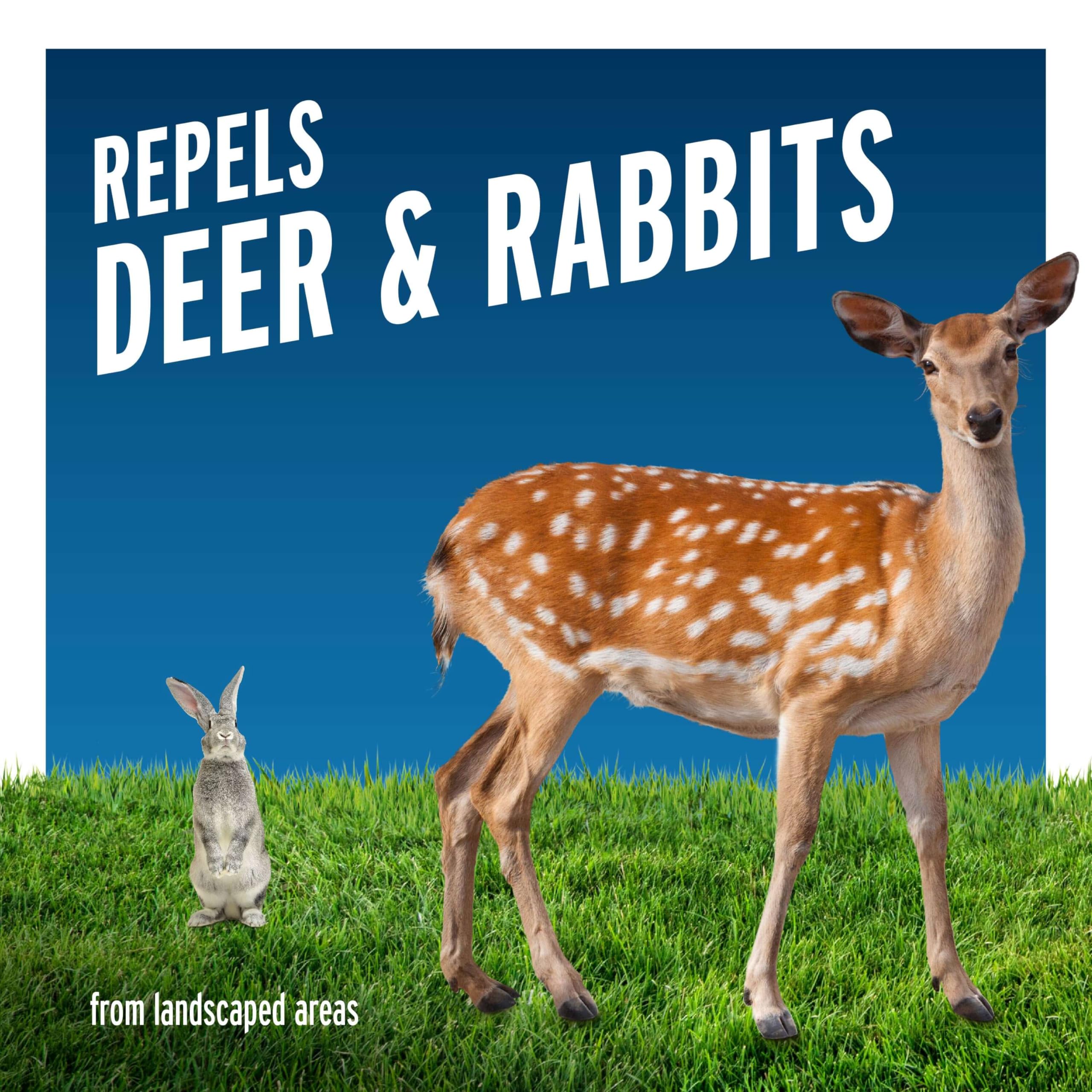Liquid Fence Deer and Rabbit Repellent Concentrate - 32 oz Hose-End Sprayer - Natural Animal Repellent for Gardens, Lawns, and Landscapes - Protect Plants from Deer, Rabbits, and Other Pests