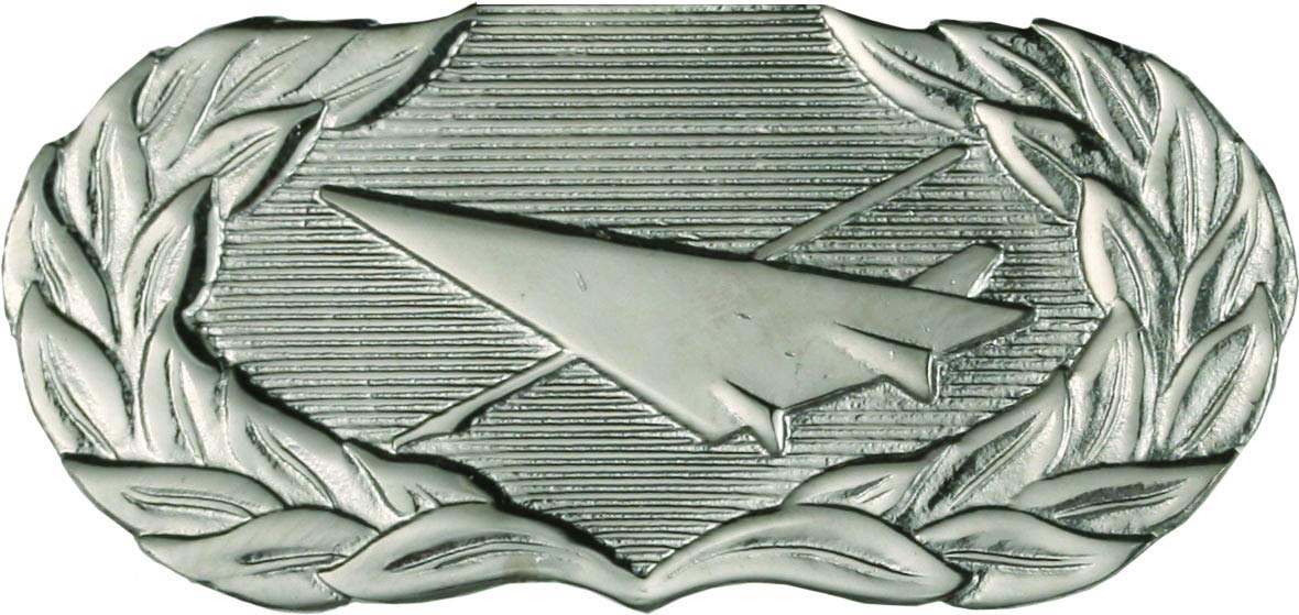 US Air Force No Shine Badge - Basic Historian Military Insignia | Authentic Military Collectible & Uniform Accessory | Perfect for Veterans, Collectors & Reenactments