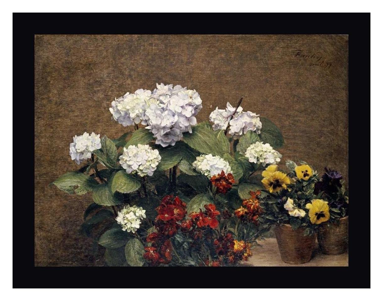 Henri Fantin-Latour Floral Art Print - Hydrangeas Wallflowers & Pansies Framed Canvas 27x36 Inch - Black Frame Ready to Hang - Perfect for Living Room Bedroom or Office Decor