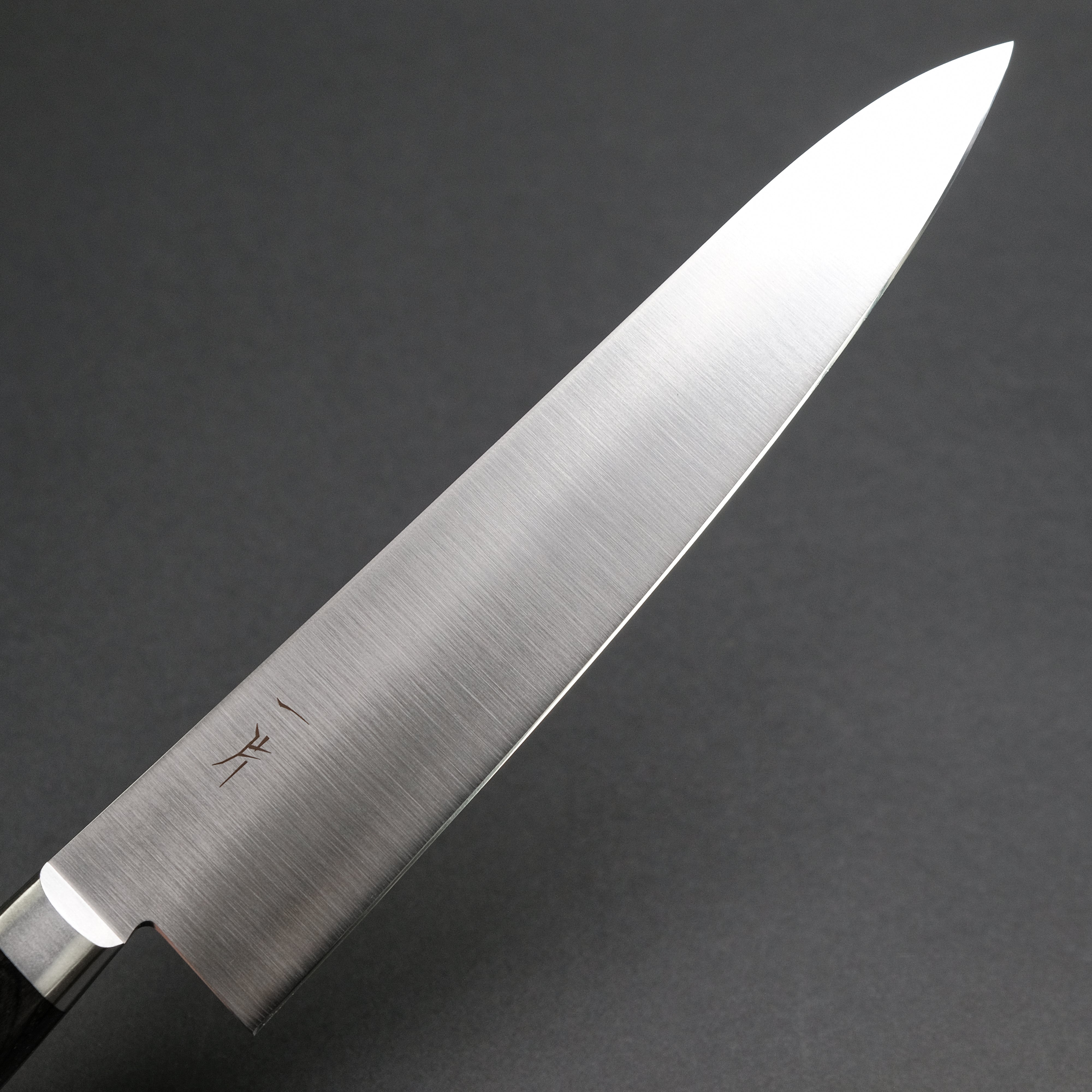 Hitohira FJ VG-10 Gyuto Japanese Chef Knife 240mm - Professional Pakkawood Handle - Perfect for Sushi, Meat Cutting & Vegetable Chopping