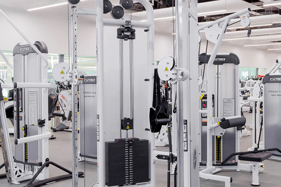 Life Fitness Signature Series Dual Adjustable Pulley - Premium Home & Commercial Gym Equipment for Strength Training & Full-Body Workouts