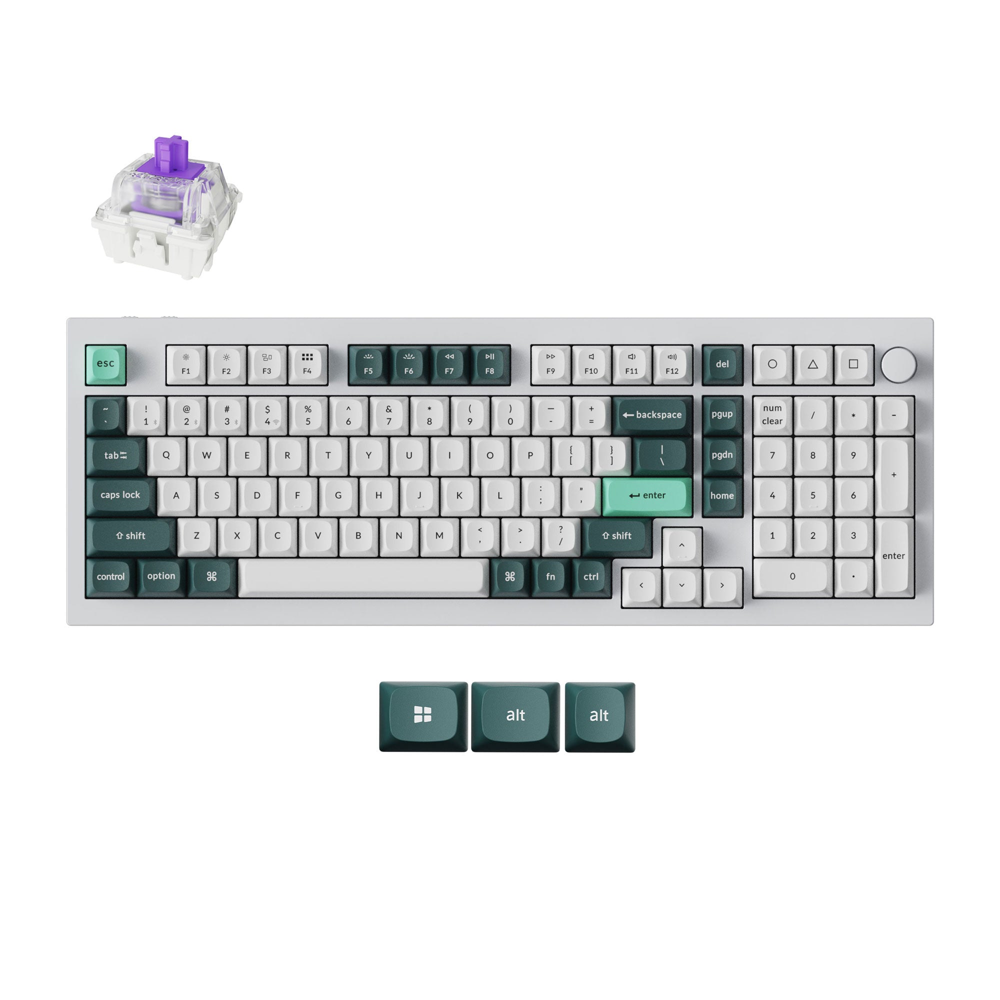 Shell White