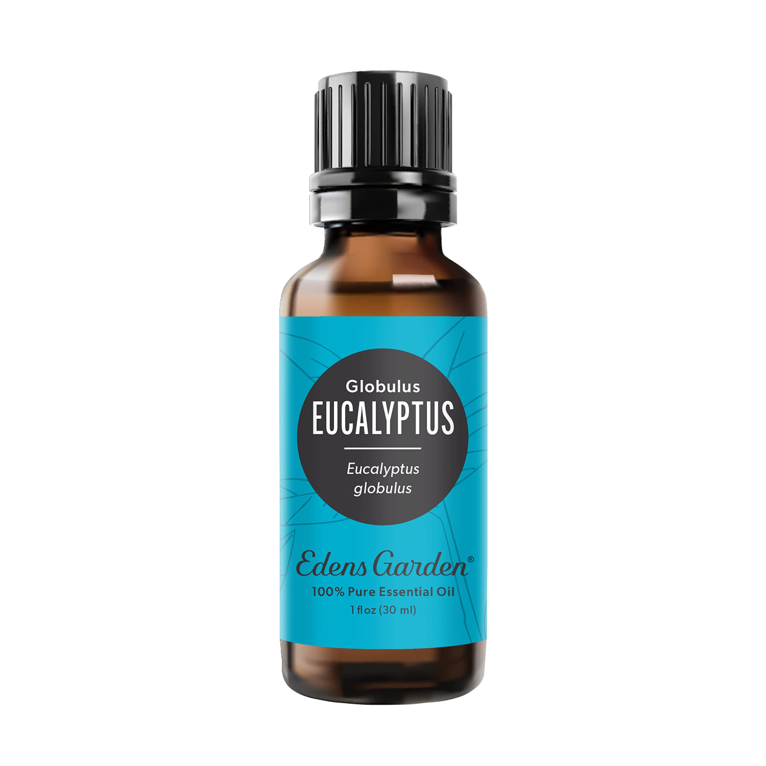 Edens Garden Eucalyptus Globulus Essential Oil - 100% Pure Therapeutic Grade, Undiluted Natural Aromatherapy Oil for Diffusers, Humidifiers, Massage & Relaxation (1 fl oz / 30ml) - Perfect for Stress Relief, Spa Days & Home Fragrance
