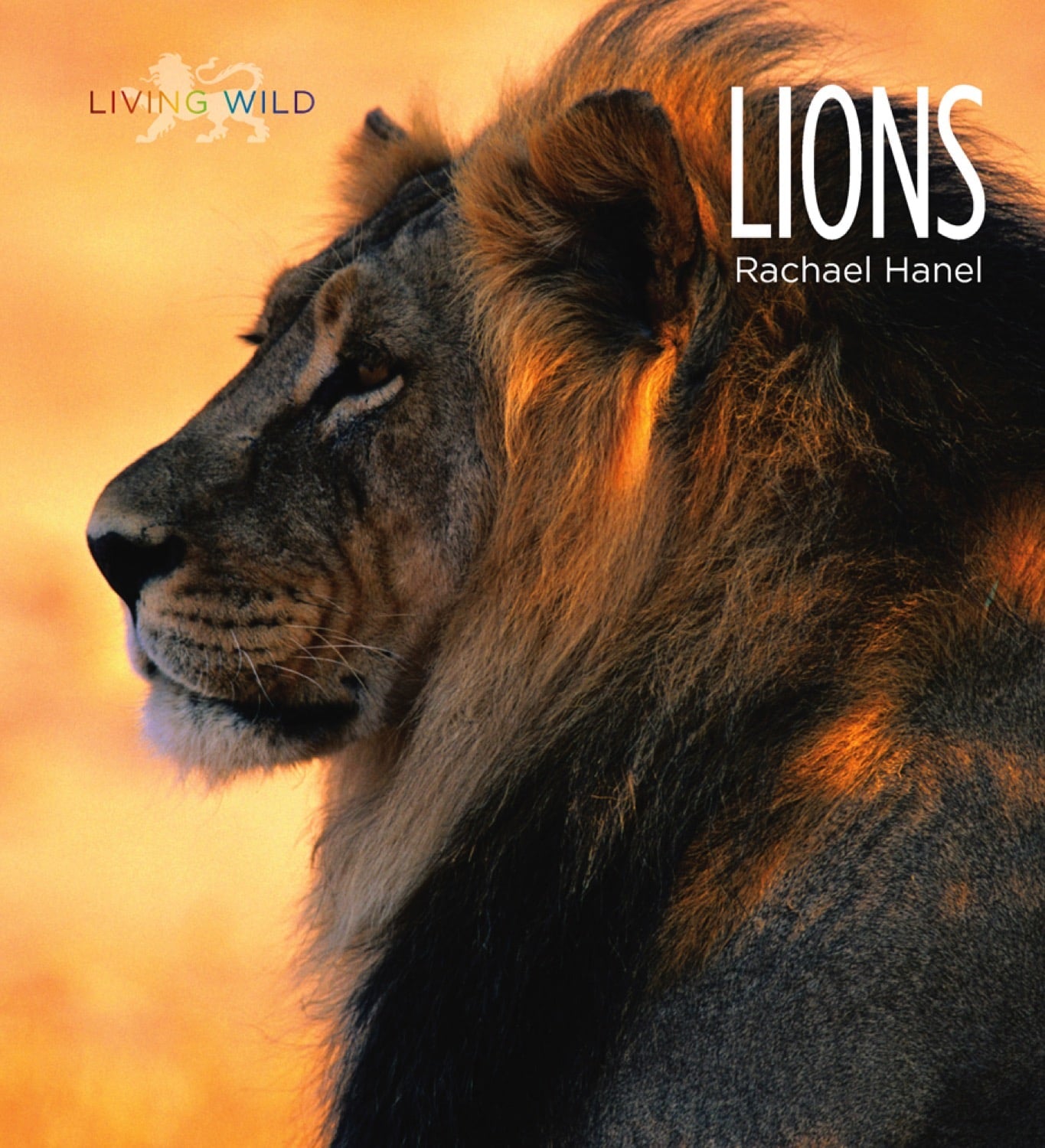 Lions Book 978-1-58341-656-3 - Wildlife Education & Nature Exploration for Kids & Adults | Perfect for Classroom Learning & Home Reading