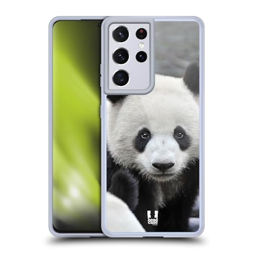Close-Up Panda