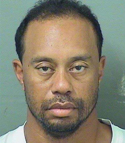 Tiger Woods Mugshot Poster - 17x22 Inch Laminated Golf Memorabilia with Vibrant Colors - Perfect for Man Cave, Sports Bar, or Golf Club Decor
