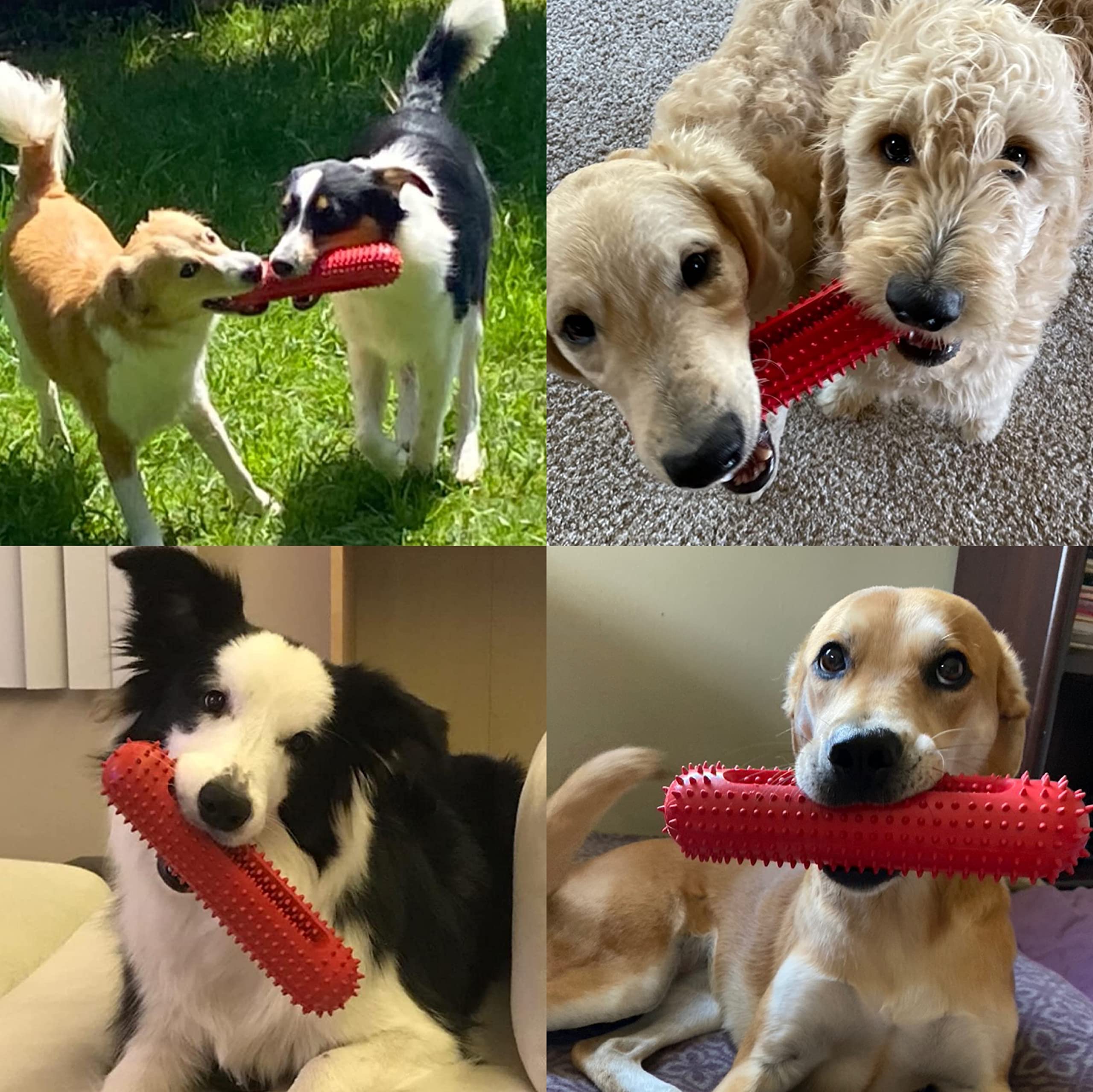 Durable Dog Chew Toys for Aggressive Chewers - Indestructible Rubber Squeaky Toys for Medium & Large Dogs | Toothbrush Design for Teeth Cleaning, Pet Training & Playtime | Perfect for Outdoor Fetch, Indoor Play & Dental Health