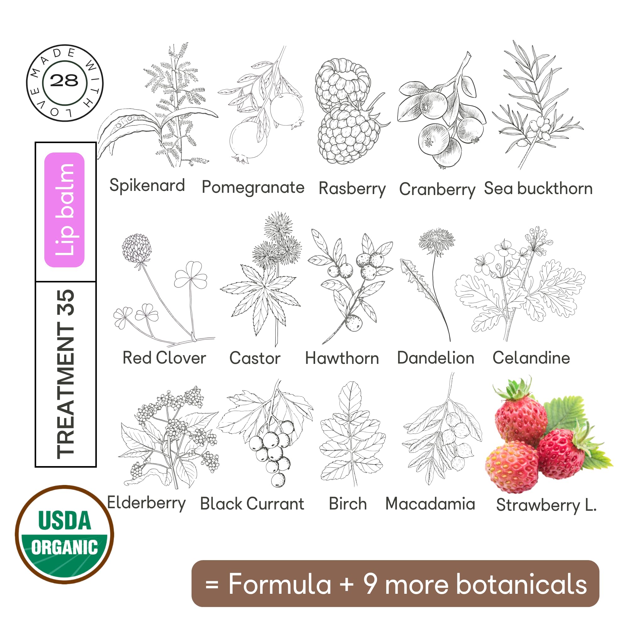 Organic28+ 100% Organic Lip Balm for Women – USA Made with 35 Botanicals | Rejuvenating Natural Lip Moisturizer for Very Dry Lips | Hydrating Lip Balm & Lip Oils with Jasmine Aromatherapy | 1.1 FL. Oz | Perfect for Daily Hydration, Winter Care & On-the-Go Lip Protection