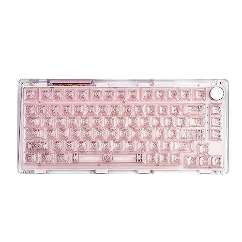 Phantom 81 V2 Pink