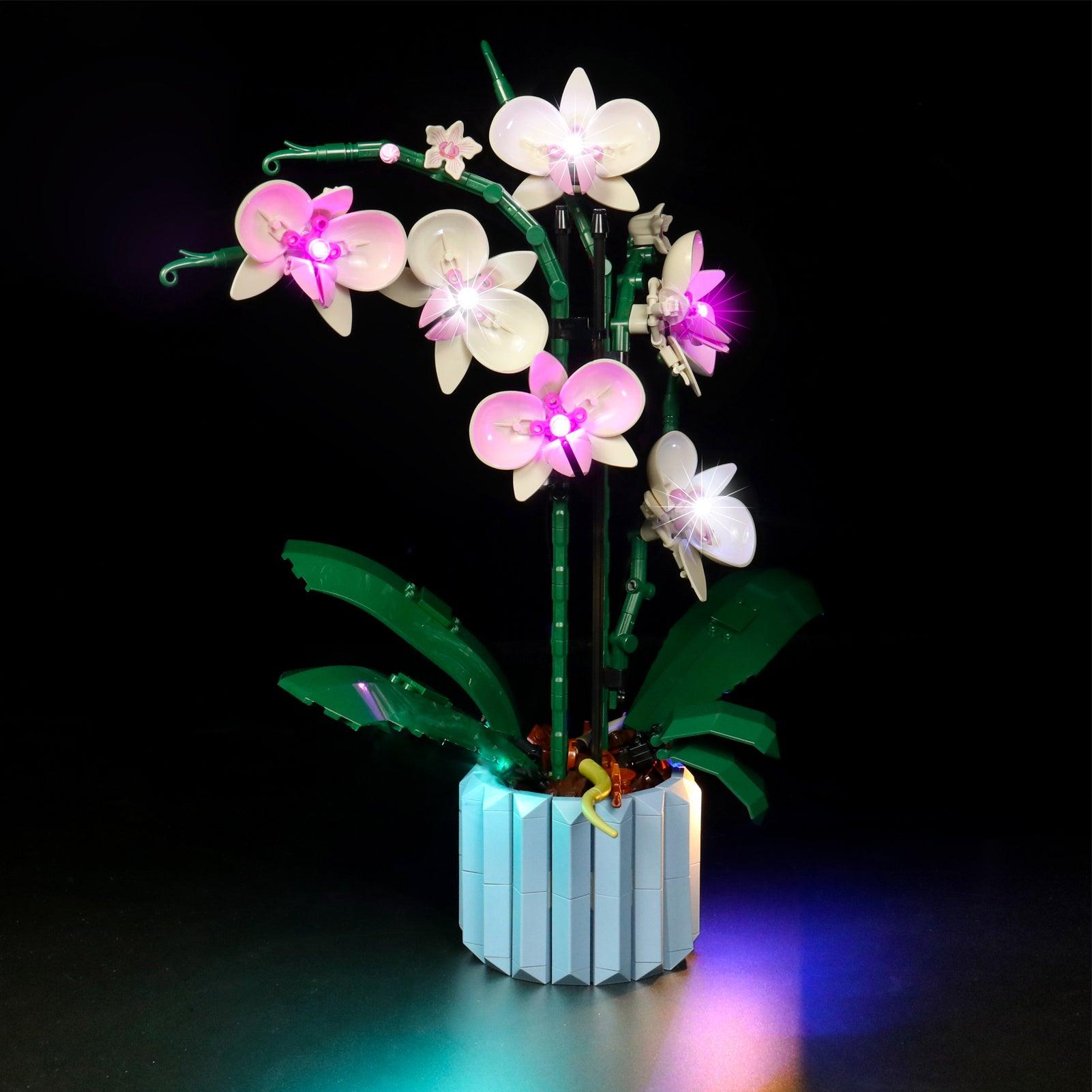 Premium LED Light Kit for Lego Ideas Orchid Flowers Building Set 10311 - Enhance Your Botanical Display with Custom Lighting for Home Decor & Gift Giving