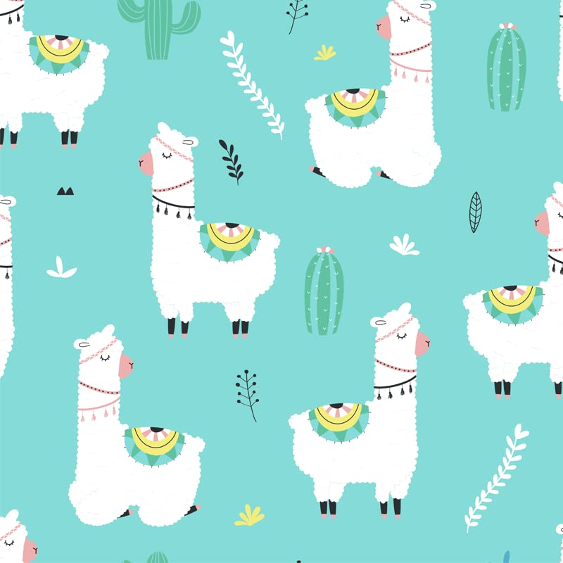 Alpaca