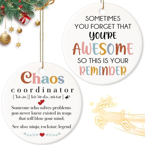 Chaos Coordinator Noun