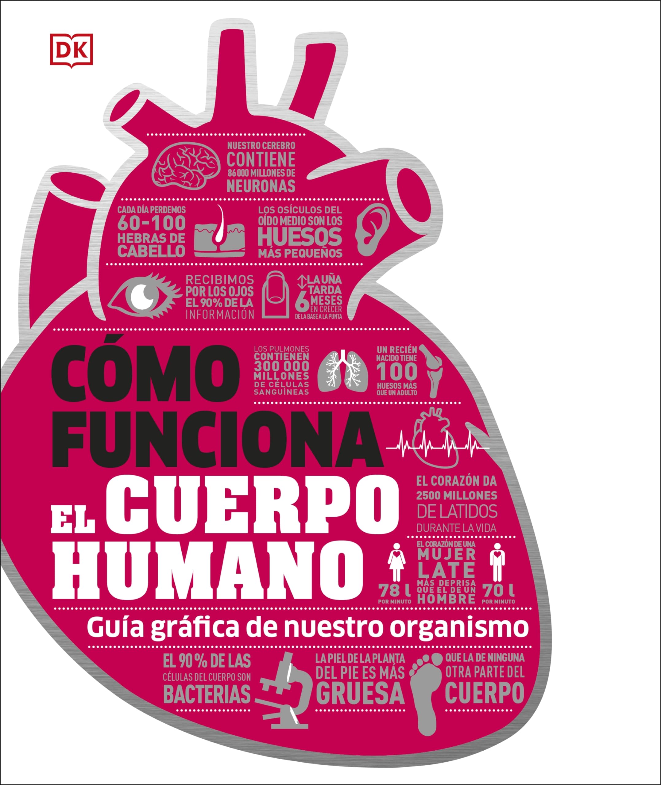 How the Body Works: A Visual Guide to the Human Body (DK How Stuff Works) - Perfect for Students, Teachers, and Health Enthusiasts