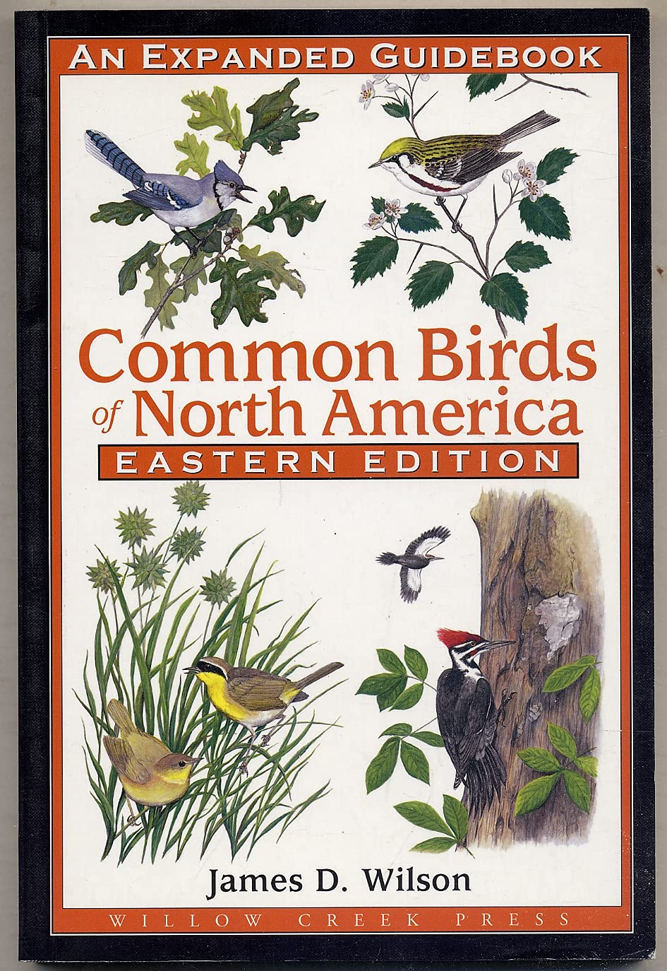 Common Birds of North America - Eastern Region: Expanded Field Guide for Birdwatching | Perfect for Nature Enthusiasts & Outdoor Adventures