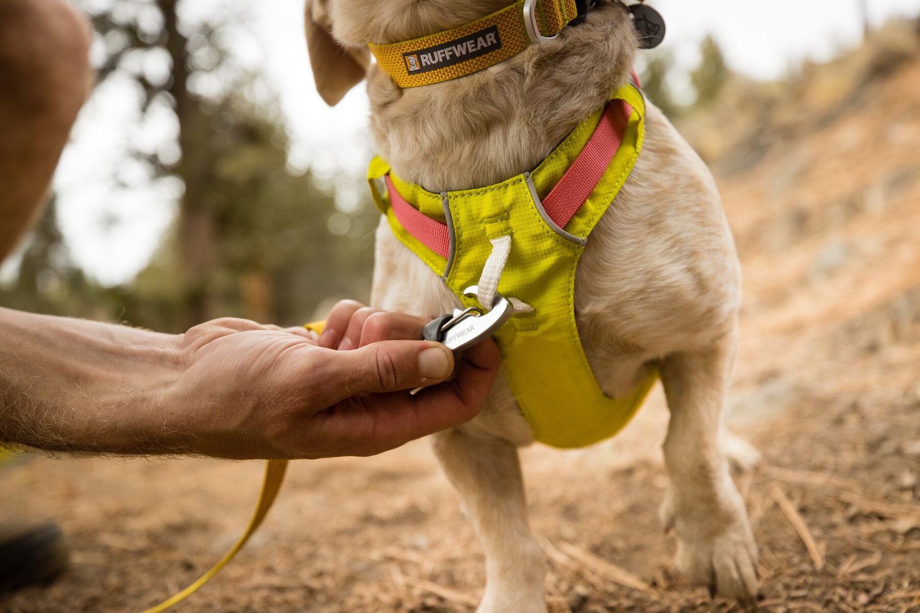 Ruffwear Hi & Light Dog Harness - Reflective, Lightweight, Adjustable for Small to Large Dogs - Perfect for Hiking, Running & Nighttime Walks