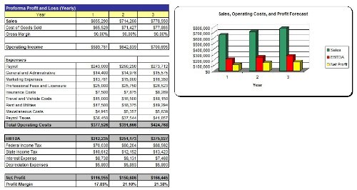 Professional Computer Game Producer Business Plan Template - MS Word & Excel - Perfect for Startup Entrepreneurs & Gaming Studios