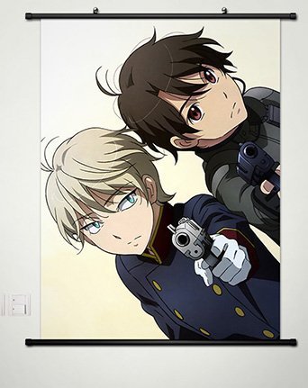 Aldnoah Zero Slaine Troyard Anime Wall Scroll Poster - 23.6 x 31.5 Inch Fabric Painting Home Decor - Perfect for Bedroom, Living Room & Anime Fan Collection