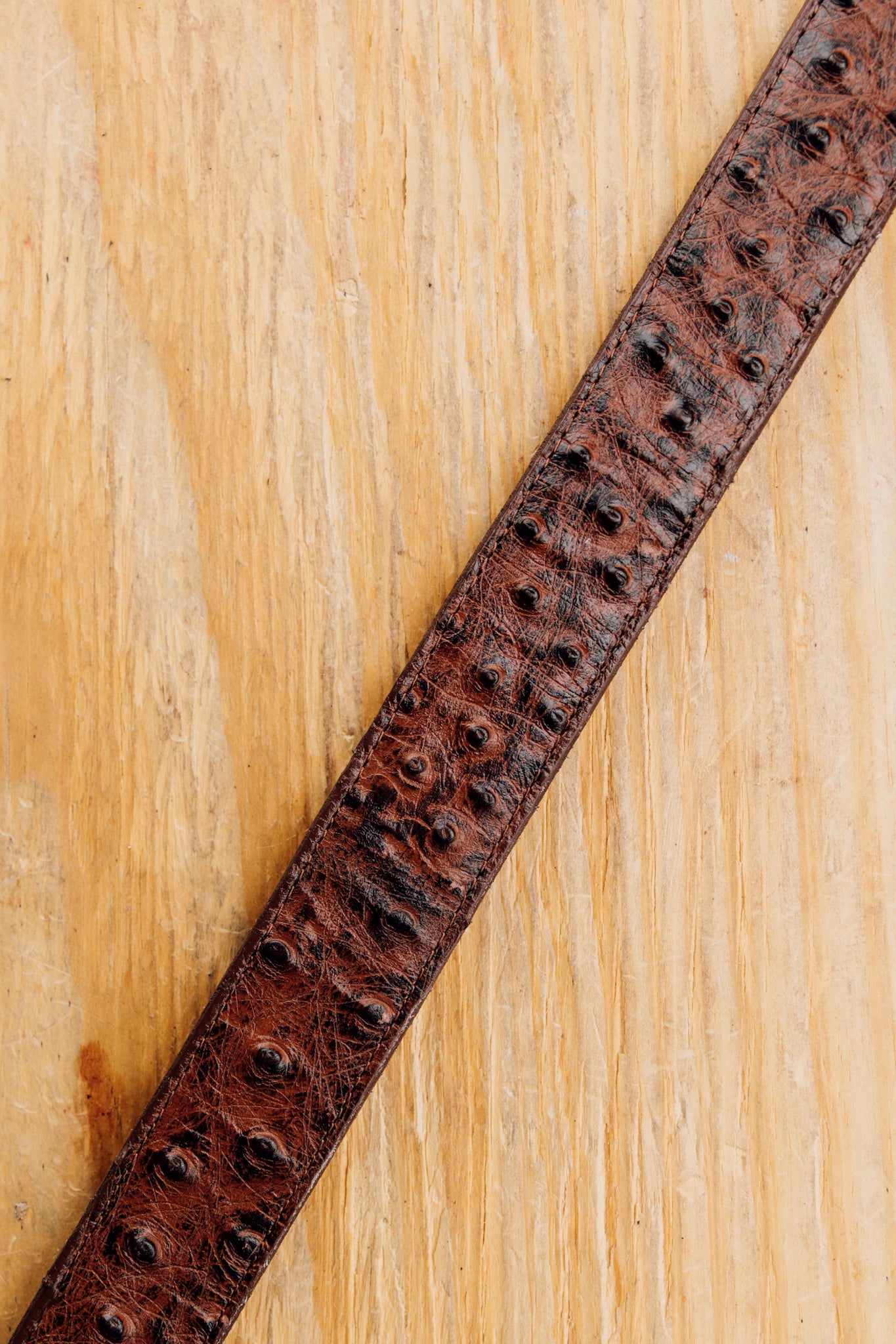 Earl Ave Ranch Kids Belt - Adjustable Leather Belt for Boys & Girls - Durable & Stylish Western Belt for Children - Perfect for School, Jeans, and Cowboy Outfits
