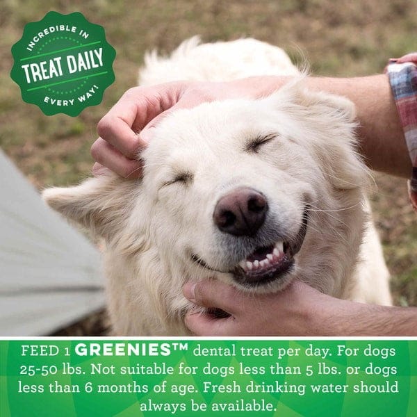 Greenies Fresh Regular Adult Dog Dental Treats - 12oz | Tartar Control & Fresh Breath for Dogs | Perfect for Daily Oral Care & Training Rewards