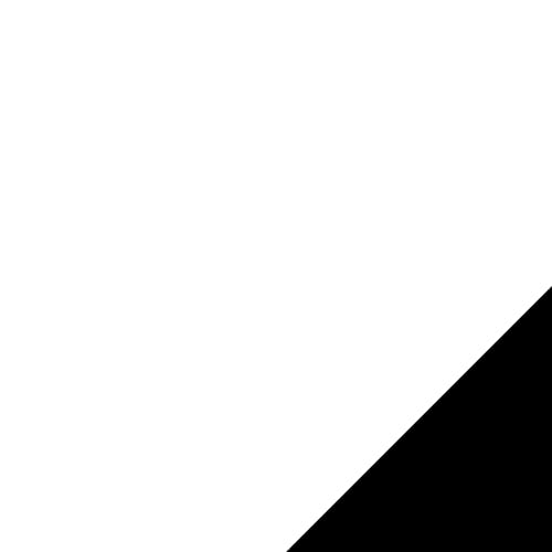 White Top / Black Frame