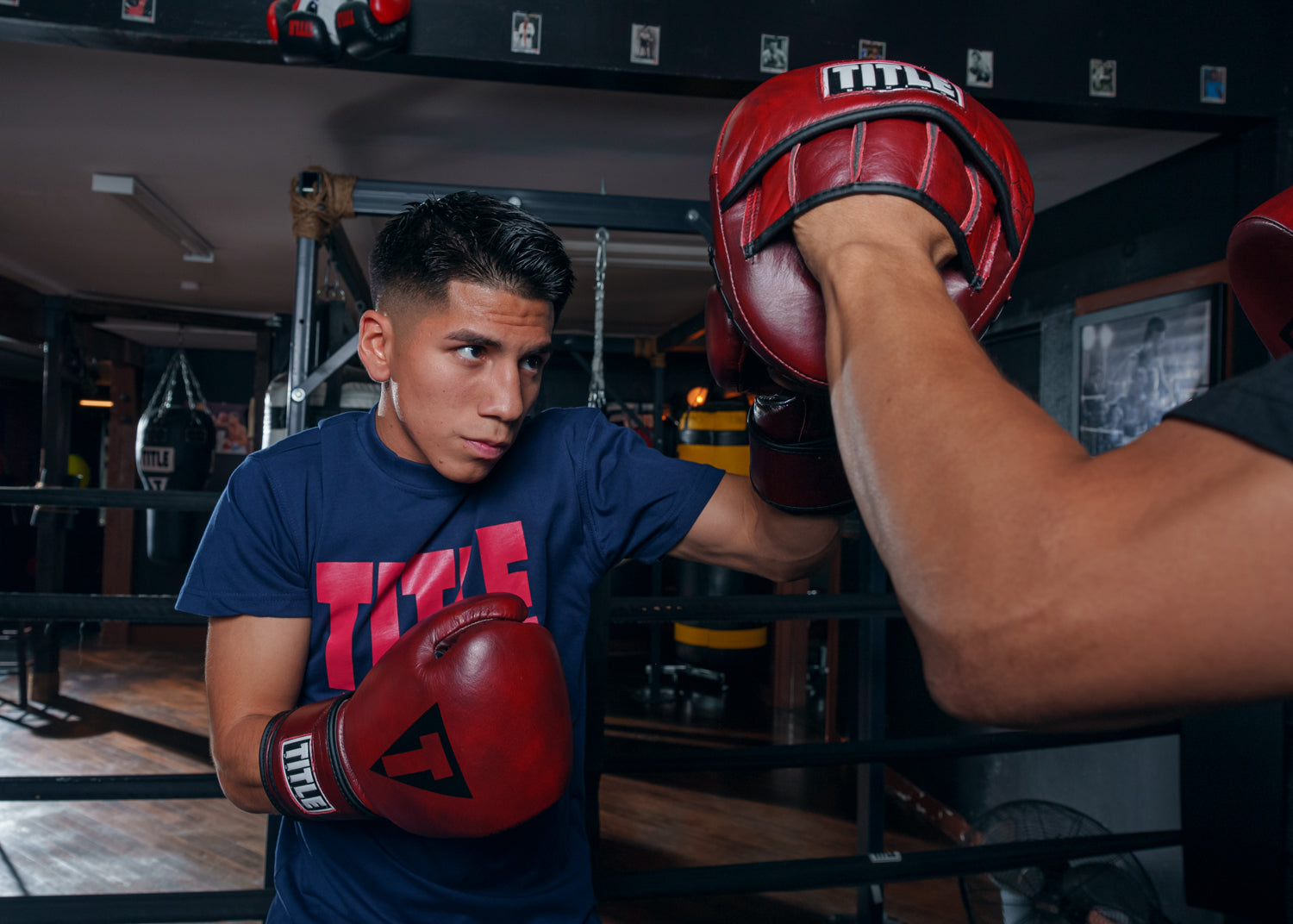 TITLE Boxing Blood Red Leather Training Boxing Gloves - Premium Boxing Equipment for Training, Sparring & Fitness Workouts - Perfect for Boxing Gyms, MMA & Home Workouts