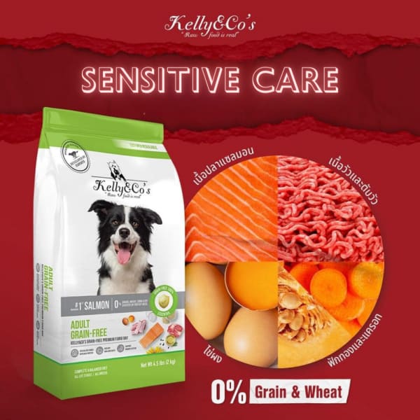 Kelly & Co's Fjord Bay Salmon & Beef Grain-Free Dry Dog Food - 2.72kg (6 lbs) Premium Protein Recipe for Adult Dogs - Supports Skin & Coat Health - Perfect for Active Pets & Sensitive Stomachs