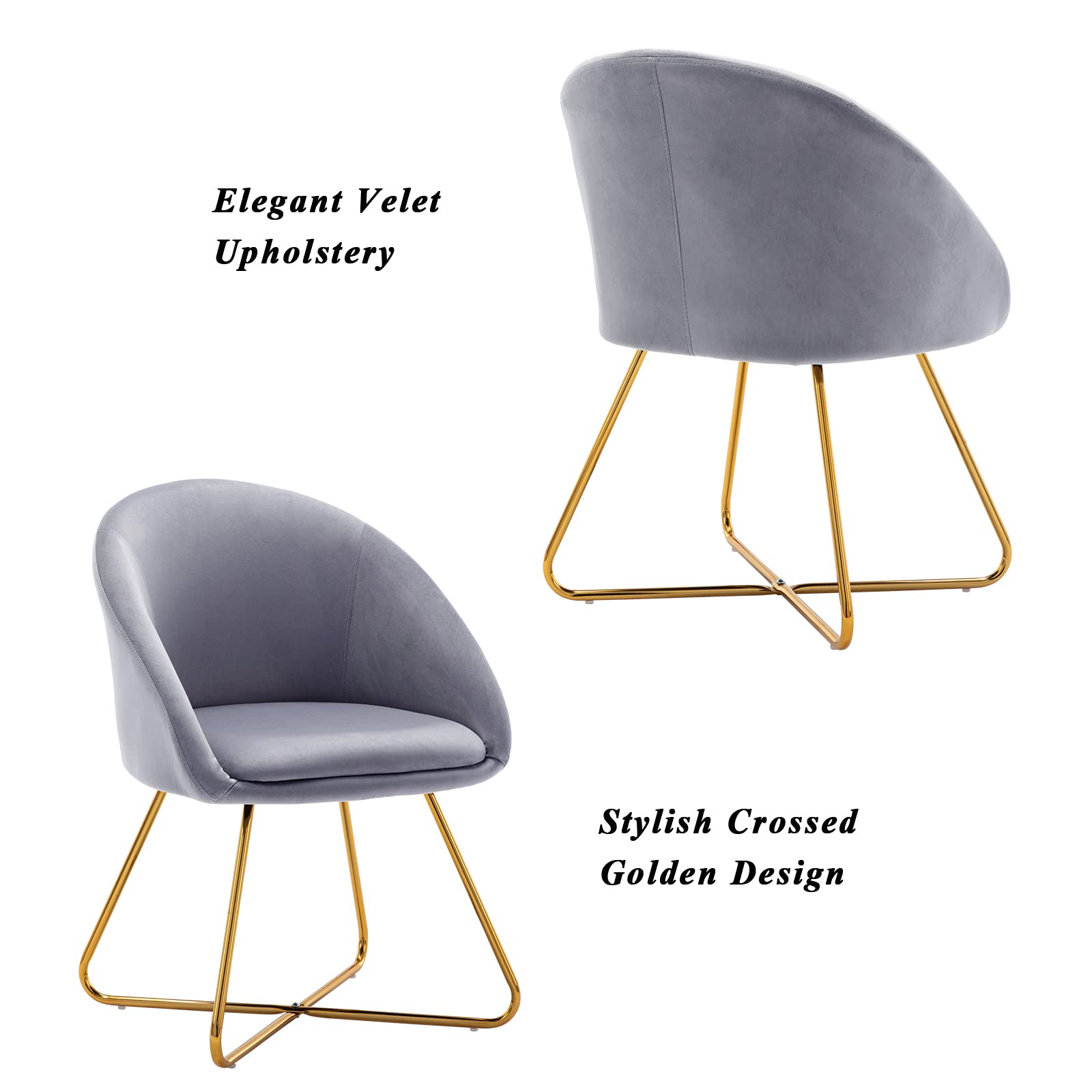 Artechworks Modern Velvet Dining Chairs Set of 2 - Luxury Accent Armchairs with Golden Metal Legs for Living Room, Bedroom, Dining Room & Office - Soft Grey Velvet Upholstered Lounge Chairs - Perfect for Home Decor, Hotel Reception & Coffee Shops