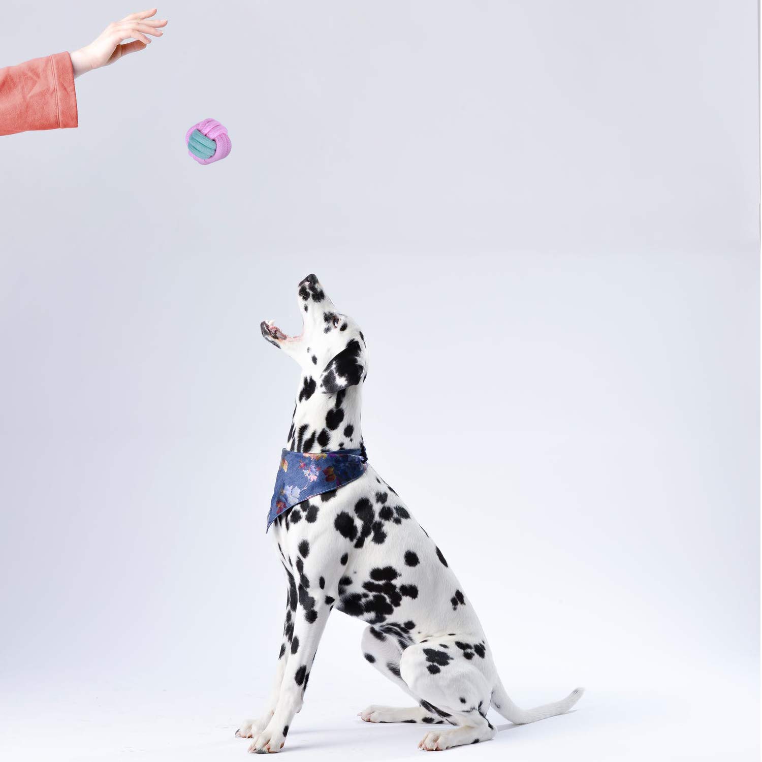 7 Pack Durable Dog Rope Toys - Interactive Chew Toys for Puppies & Dogs, Nearly Indestructible Rope Ball for Aggressive Chewers - Perfect for Fetch, Tug of War & Teeth Cleaning Playtime