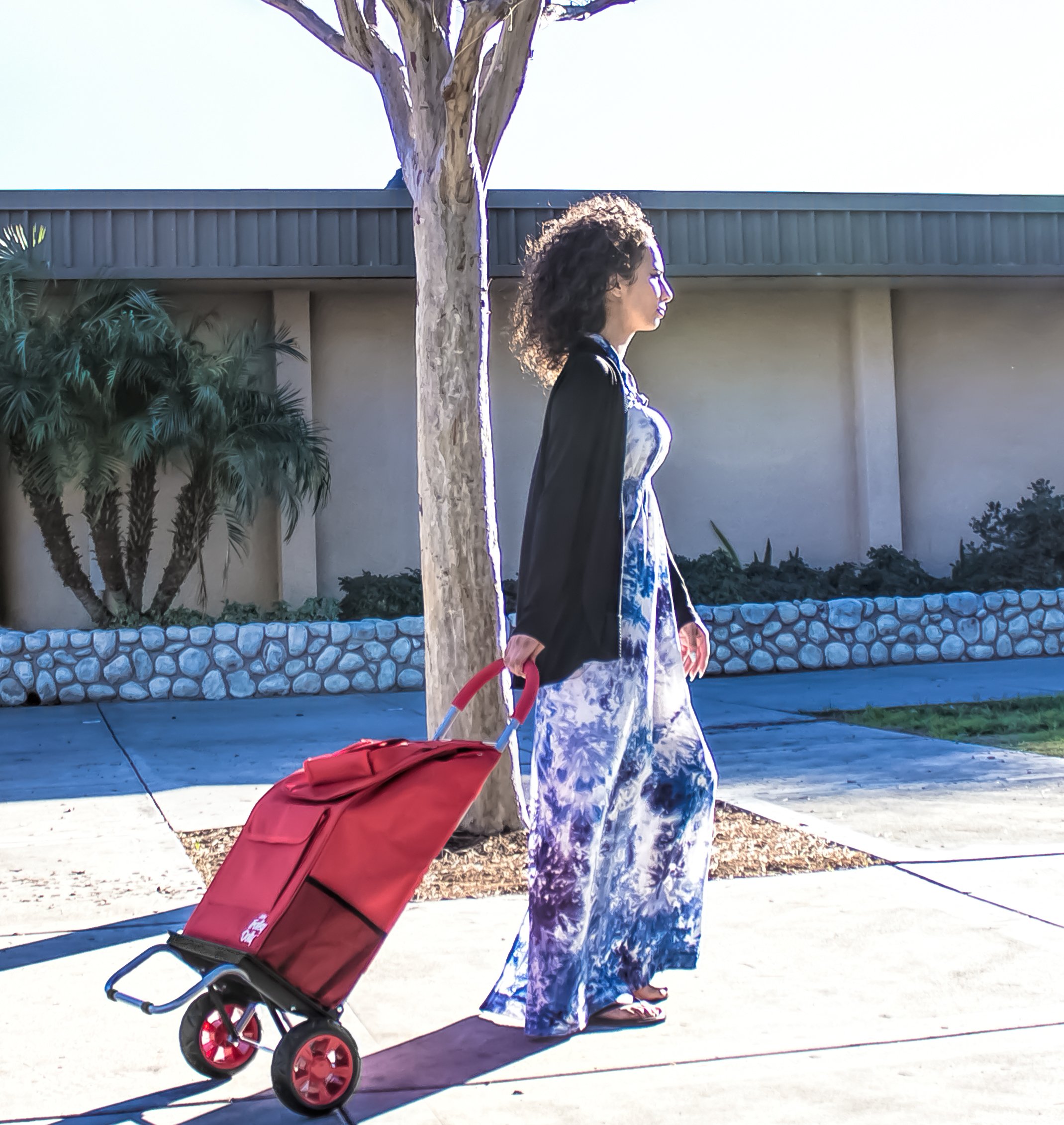Dbest Foldable Shopping Cart with Wheels & Removable Bag - Red Grocery Trolley, Portable Hand Truck for Supermarket, Laundry, Picnics & Outdoor Activities