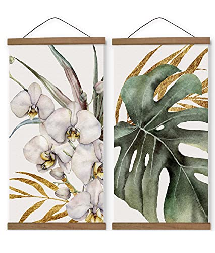 Orchids