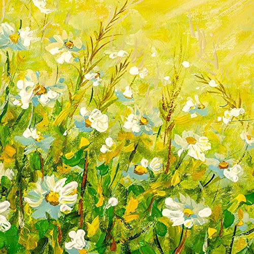 Yellow Daisy