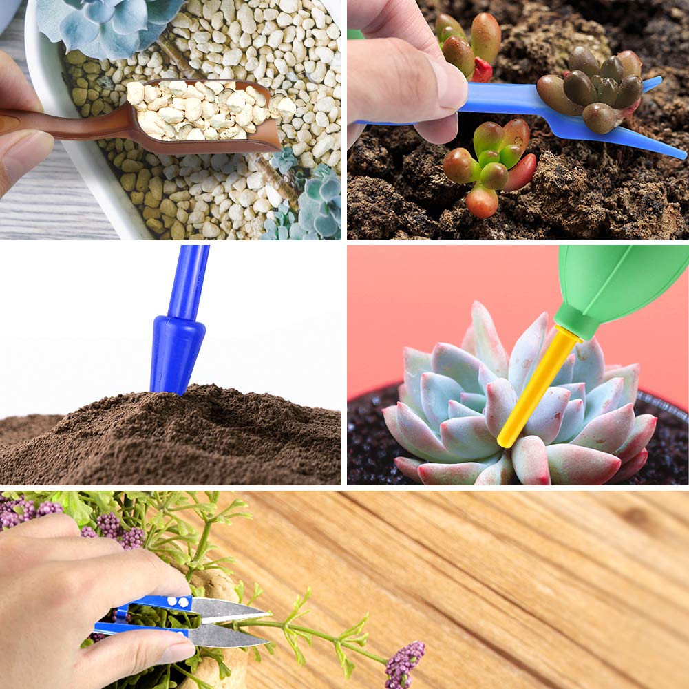 Premium Succulent Tools Kit with Organizer Bag & Planting Mat - 12-Piece Gardening Tool Set with Tote for Mini Succulent Care, Bonsai Planting & Indoor Gardening - Perfect for Home Decor, Office Plants & DIY Garden Projects