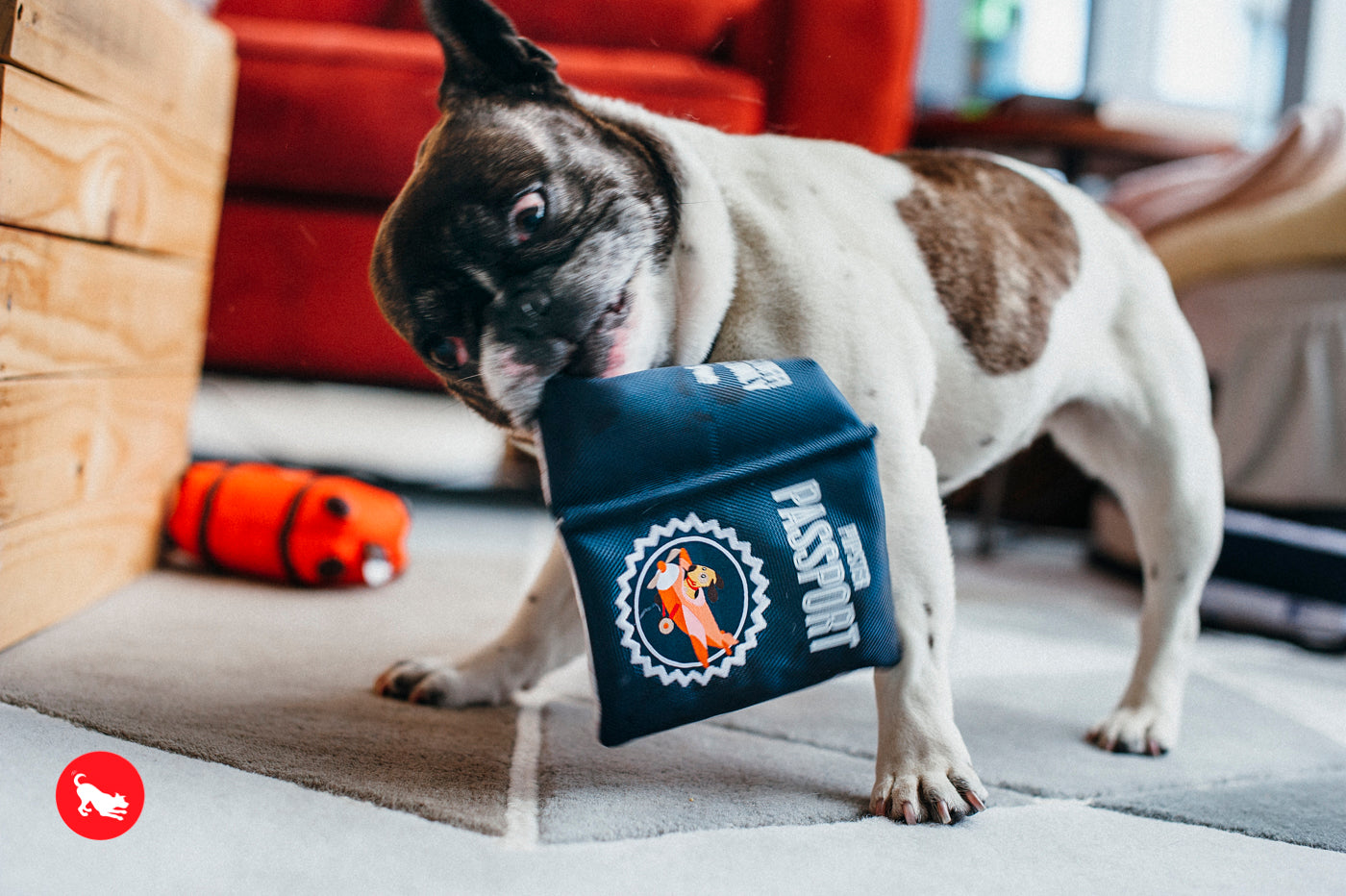 El Pasaporte Dog Plush Toy - Globetrotter Travel Companion for Dogs | Soft & Durable Chew Toy | Perfect for Travel, Playtime & Cuddling | Pet P.L.A.Y.