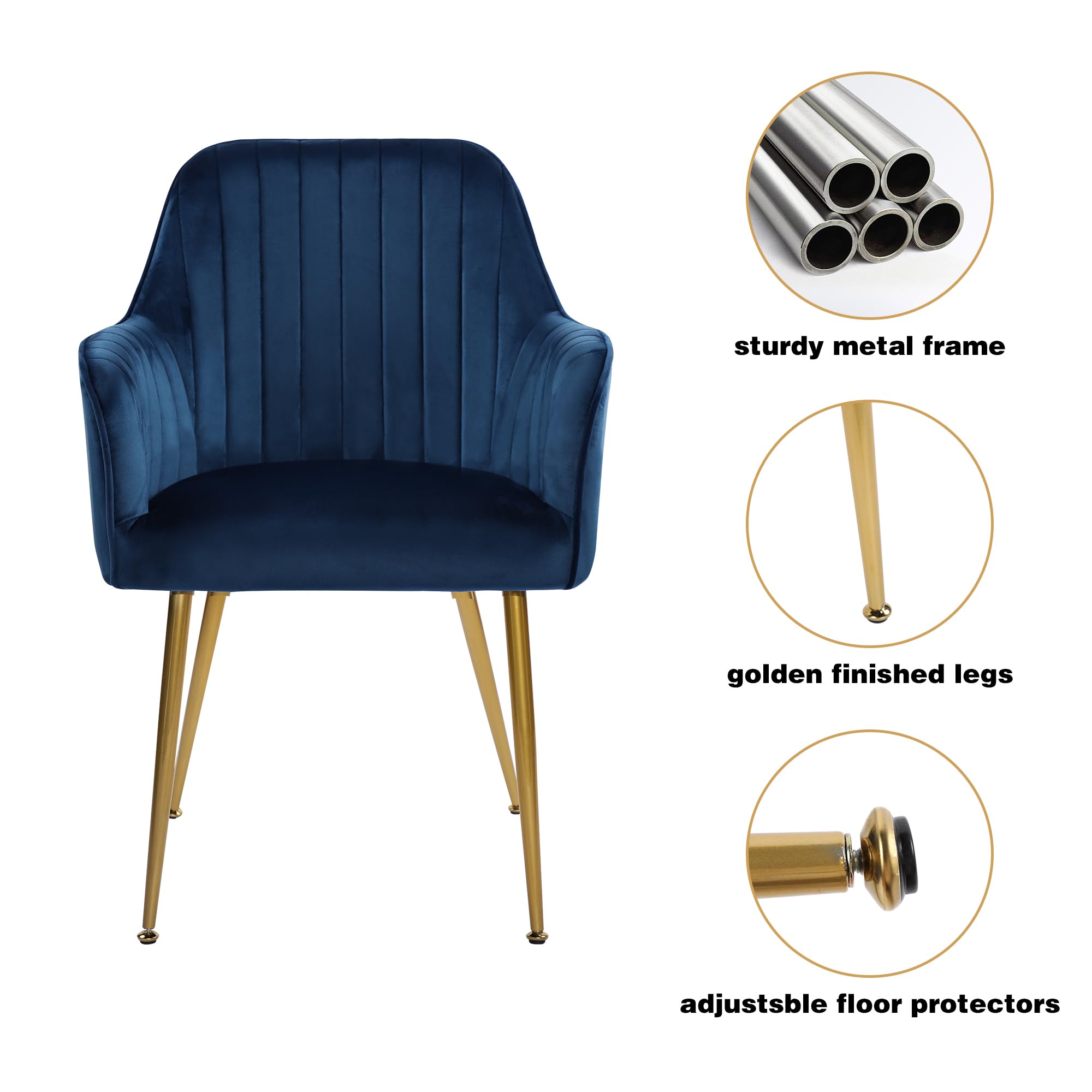 Set of 2 Velvet Upholstered Dining Chairs with Gold Metal Legs - Luxurious Accent Chairs for Living Room, Bedroom or Dining Area (Blue) - Perfect for Home Decor, Entertaining Guests & Cozy Seating