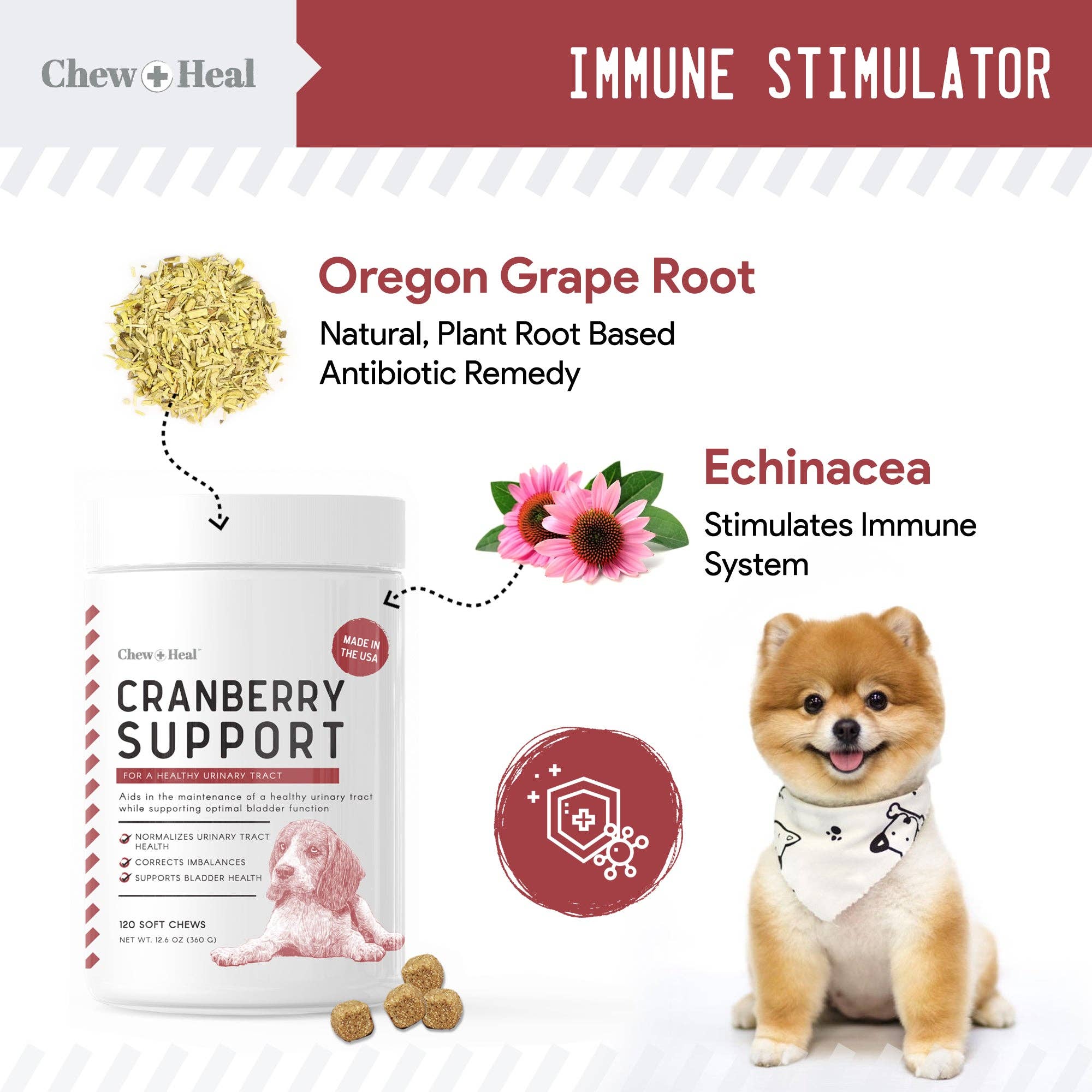 Best UTI Treatment Cranberry Chews for Women - Fast-Acting Urinary Tract Infection Relief - Delicious Berry Flavor - Supports Bladder Health (Perfect for Travel, Work & Daily Wellness)