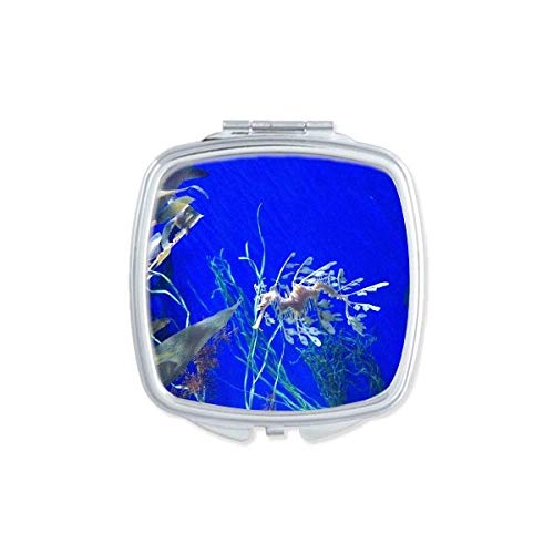 DIYthinker Ocean Deep Water Blue Hippocampus Water Mirror - Portable Compact Pocket Makeup Mirror with Double Sided Glass for Travel, Home, and On-the-Go Touch Ups