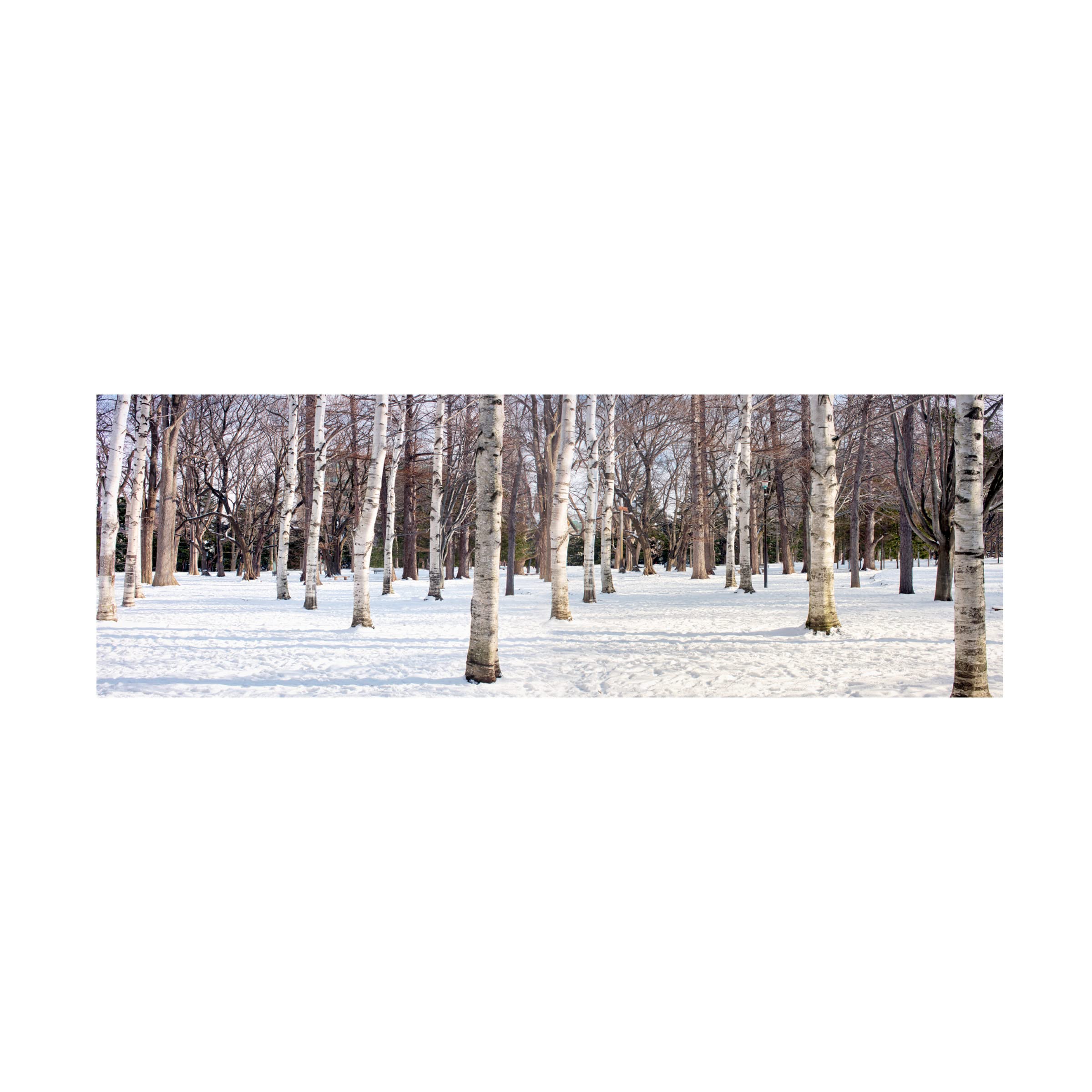 Trademark Fine Art 'Hokkaido 4' by Alan Blaustein - Stunning Japanese Landscape Canvas Wall Art for Living Room, Bedroom & Office Decor