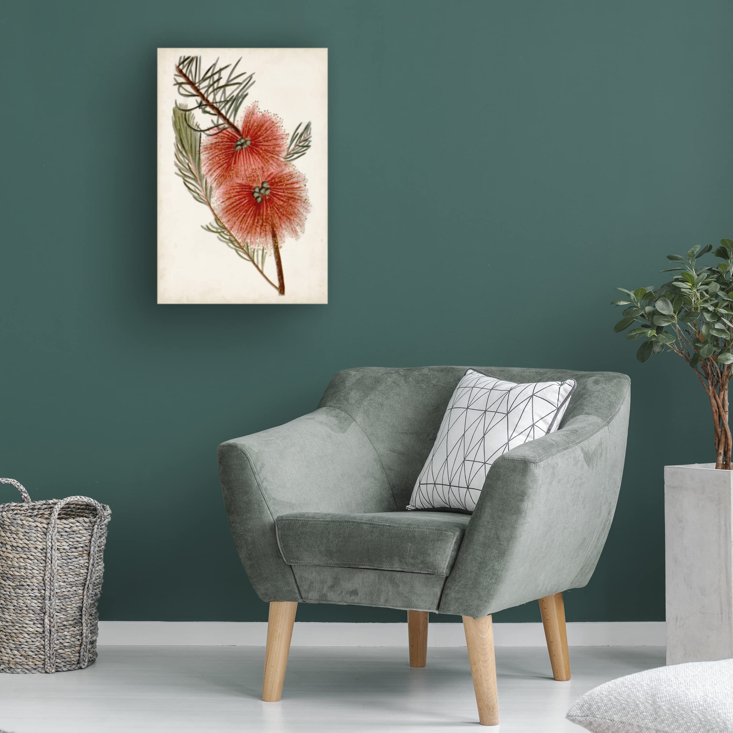 John Miller 'Bottle Brush Flower I' Canvas Wall Art Print - 30x47 Inches Floral Home Decor for Living Room, Bedroom & Office