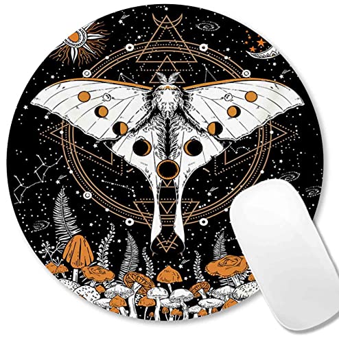 Mushroom Butterfly Art