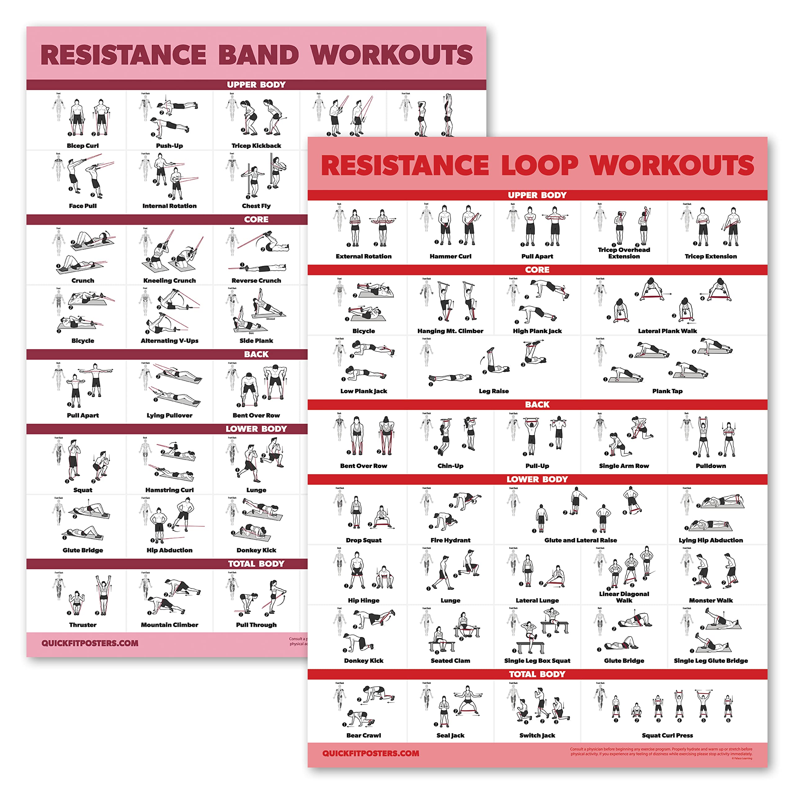 2 Pack Resistance Bands & Loops Workout Posters - Set of 2 Laminated Exercise Charts for Home Gym, Physical Therapy & Fitness Training | Palace Learning