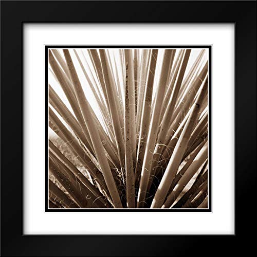 Stefko Bob 20x20 Black Modern Framed Double Matted Museum Art Print - Desert Plants IV Wall Decor for Living Room, Bedroom & Office