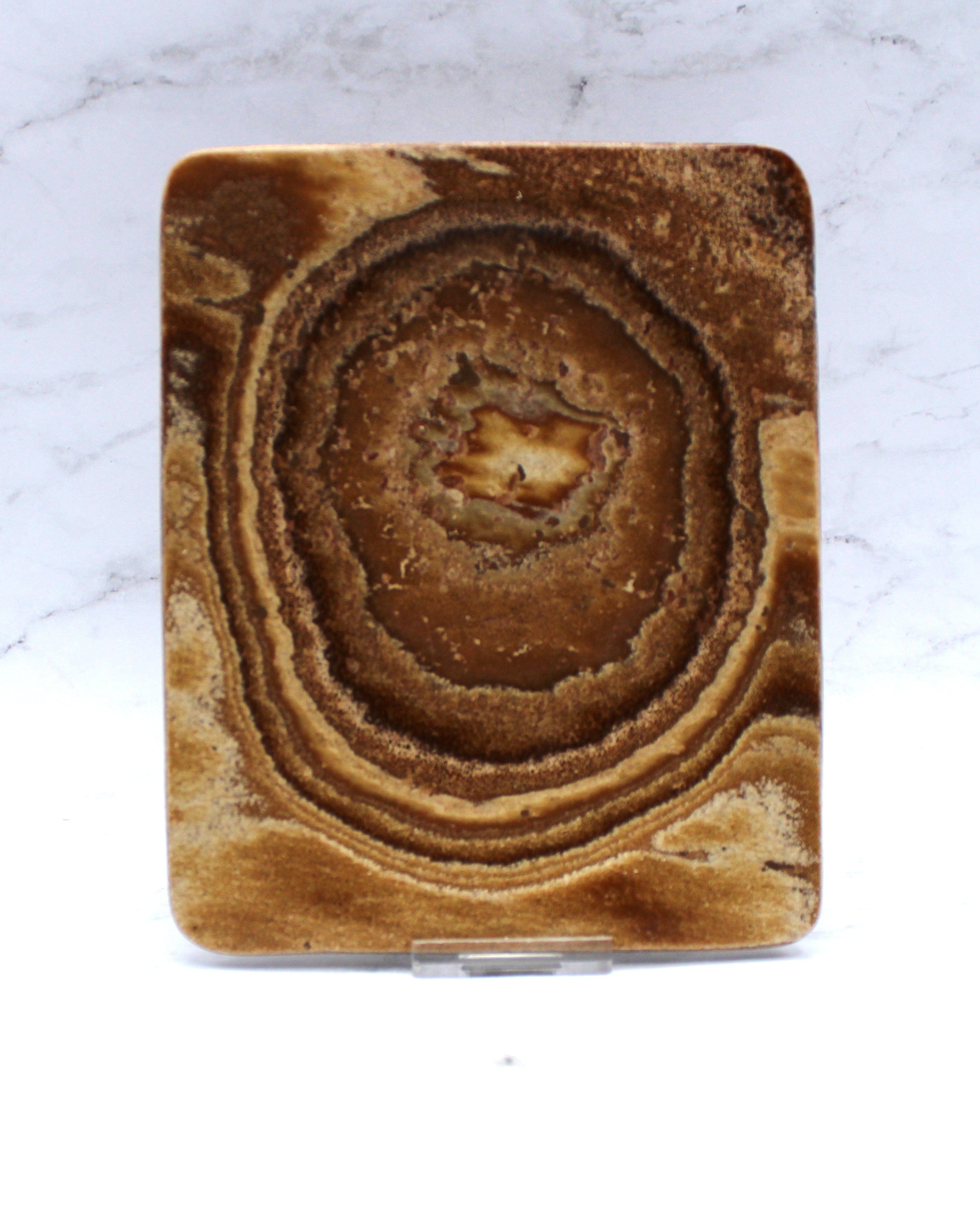 Premium Aragonite Dish 7